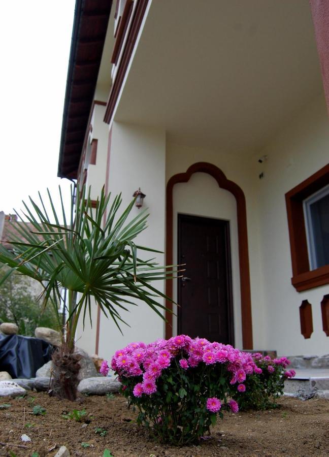Vila Phoenix Călimăneşti المظهر الخارجي الصورة