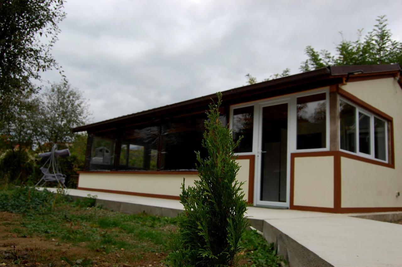 Vila Phoenix Călimăneşti المظهر الخارجي الصورة