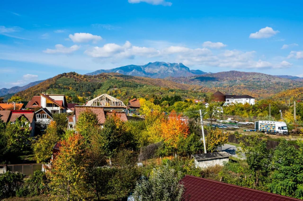 Vila Phoenix Călimăneşti المظهر الخارجي الصورة