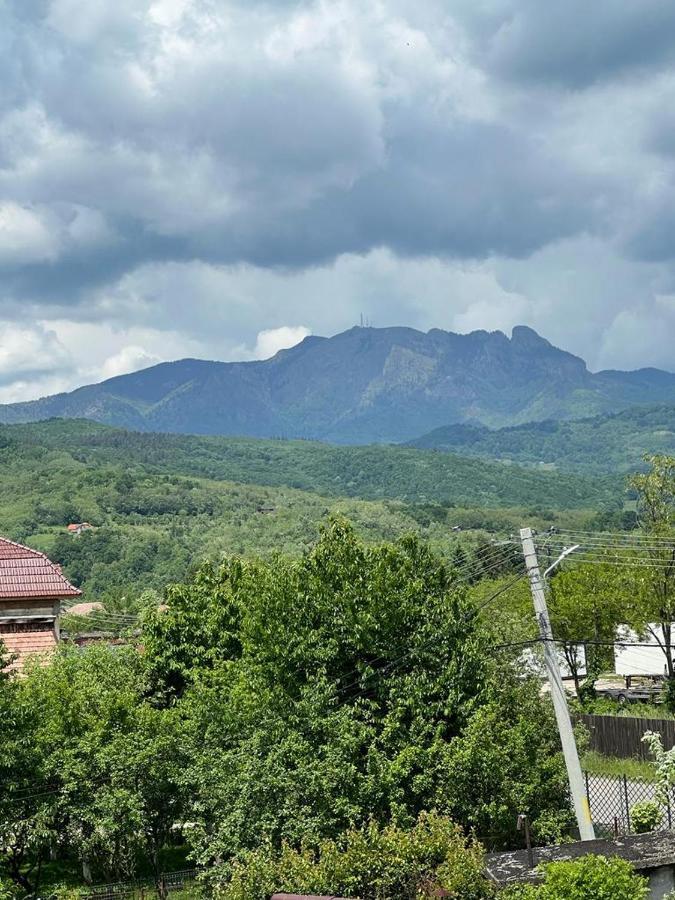 Vila Phoenix Călimăneşti المظهر الخارجي الصورة